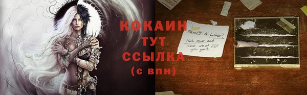 Альфа ПВП Верея