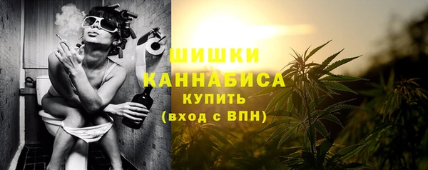 Альфа ПВП Верея