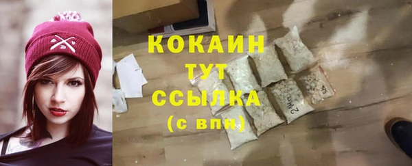 Альфа ПВП Верея