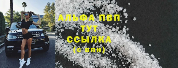 Альфа ПВП Верея