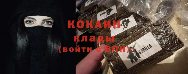 Альфа ПВП Верея